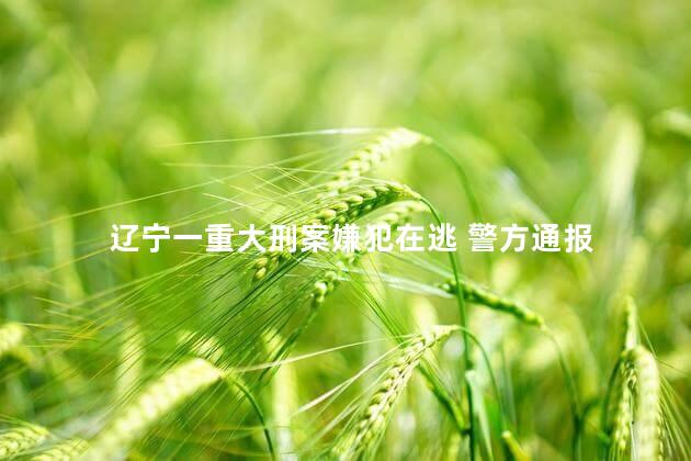 辽宁一重大刑案嫌犯在逃 警方通报